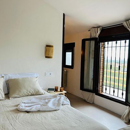 Lenta Suites Pozo Alcon Exterior photo