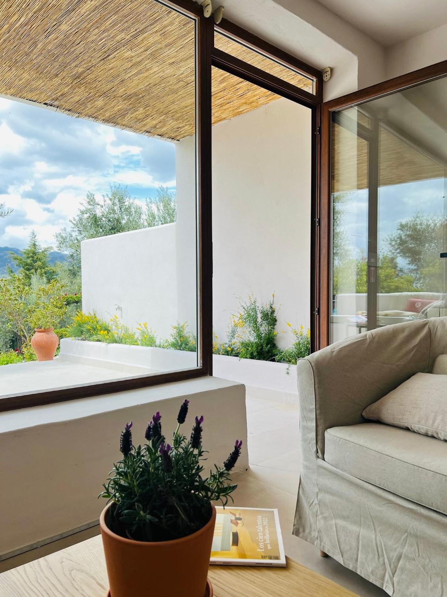 Lenta Suites Pozo Alcon Exterior photo