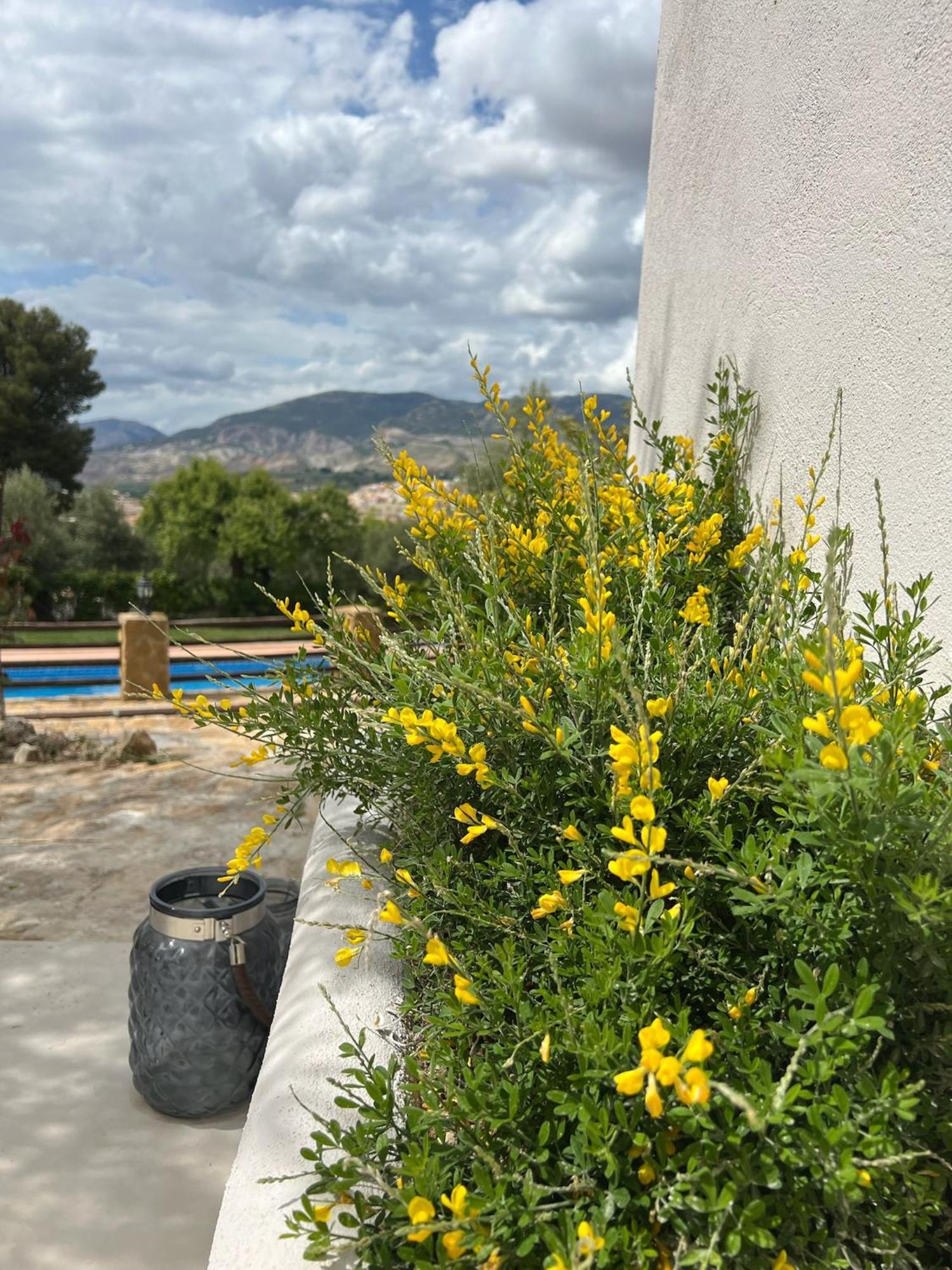 Lenta Suites Pozo Alcon Exterior photo